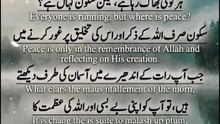 *دنیا کے شور میں اللہ کو ڈھونڈیں | Search For Allah Amidst The Noise Of The World | Find Peace In Allah | Zikr In Busy Life | Mental Peace In Islam | Islamic Short | Religion Of Islam Channel*