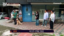 감탄만 나오는 강 훈련사의 '한 수 위' 솔루션!