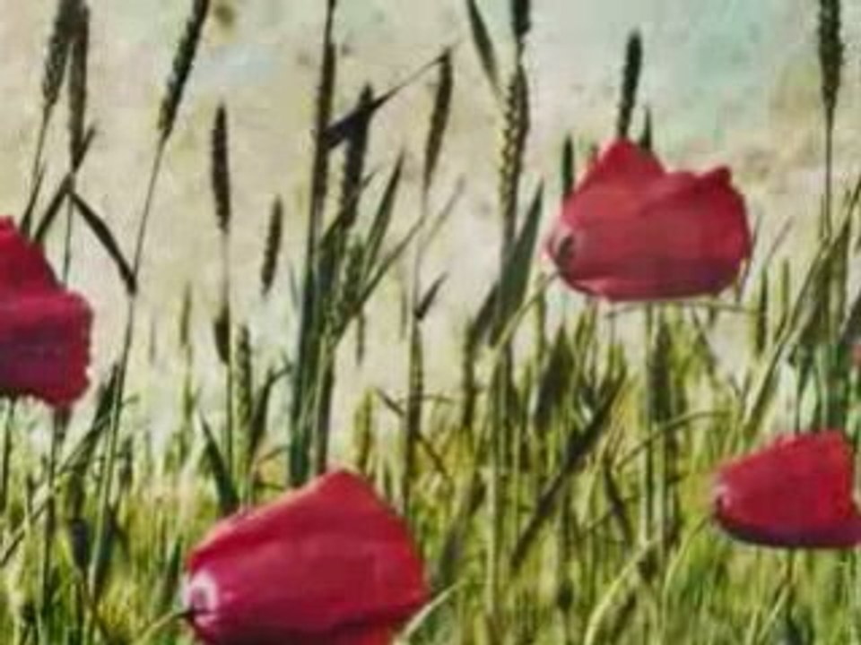 Stan Borys - Moja piosnka (do kraju tego)