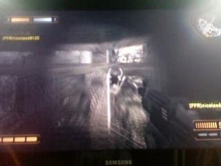 rfom bug seigneure-HITMAN et nico team ffr