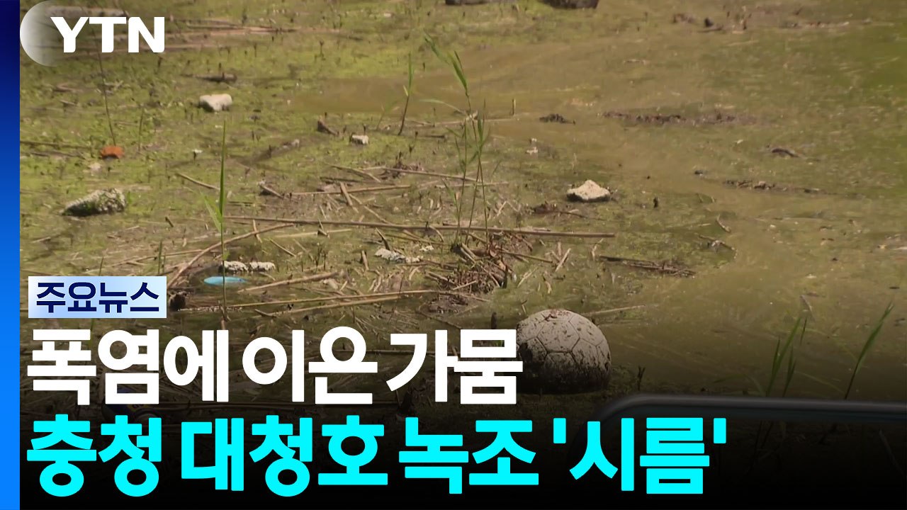 폭염에 이은 가뭄...충청권 식수원 대청호 녹조 비상 / YTN