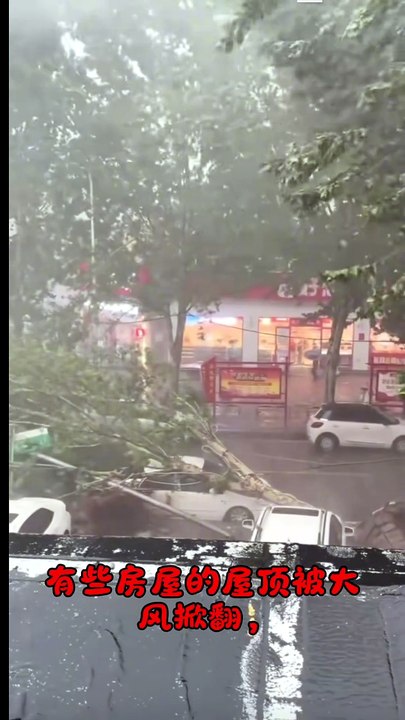 At first it looks like ordinary rain… then you see what the wind is doing. 🌪️🌧️  The streets suddenly empty as the storm gets more intense.  Would you stay outside—or run home? 👀**  #ExtremeWeather #Storm #Windstorm