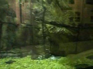 La Maison de l'Erdre à Nantes