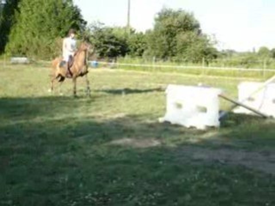 charly obstacle 1