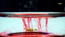 Breath, Blood, and Immortality: A 2,000-Year Biohacking Story ‪@widelenz00‬