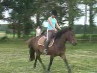 Quenzo et Norway saut 2