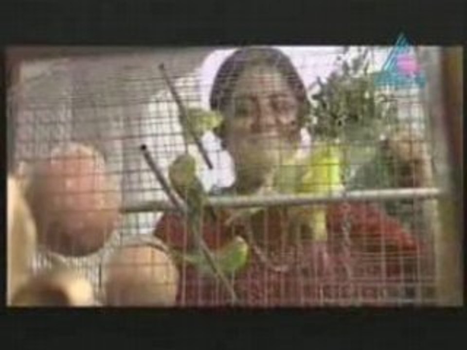 OP -- 2008-07-16 Pt03.mp4