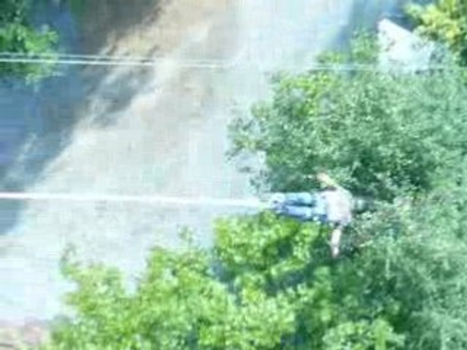 Le saut de la chauve souris !!!