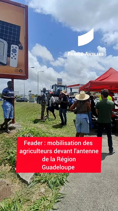 [GUADELOUPE] Les agriculteurs guadeloupéens réclament des réponses à la Région sur les aides européennes