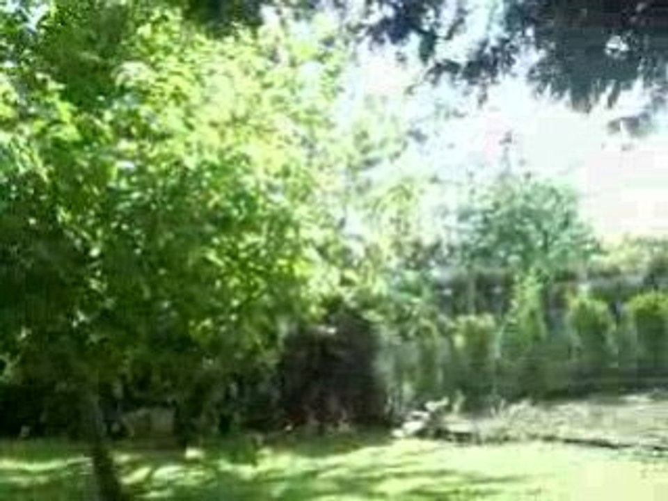 le jardin!!