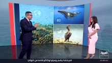 لغم مغناطيسي وراء انفجار سفينة النفط الروسي بعد عبورها مضيق باب المندب