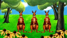 Letter K Is for Kangaroo (2)