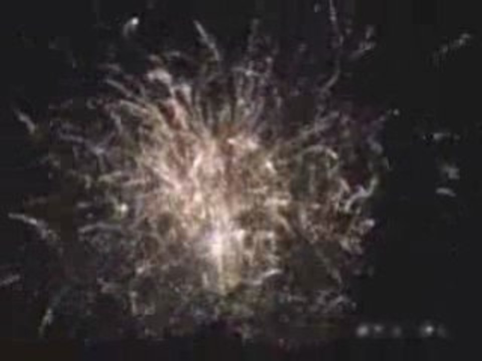 Feudartifice14juillet2008