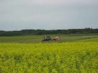 Fabrication de Balles rondes