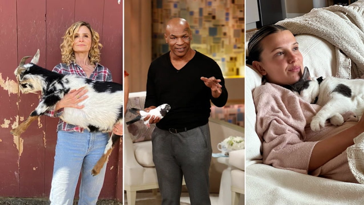 11 Celebrities Who Have More Than 10 Pets