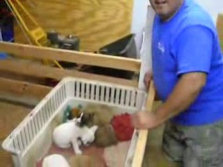 Une berceuse pour chiots