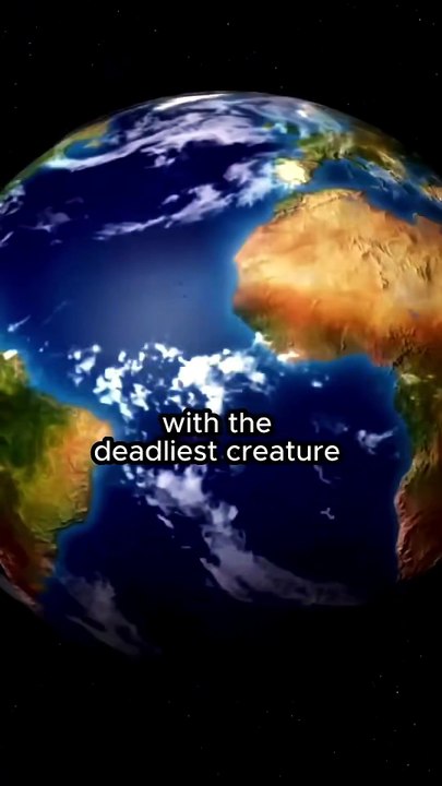 El animal más peligroso del mundo