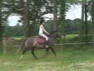 Quenzo et Norway saut 8