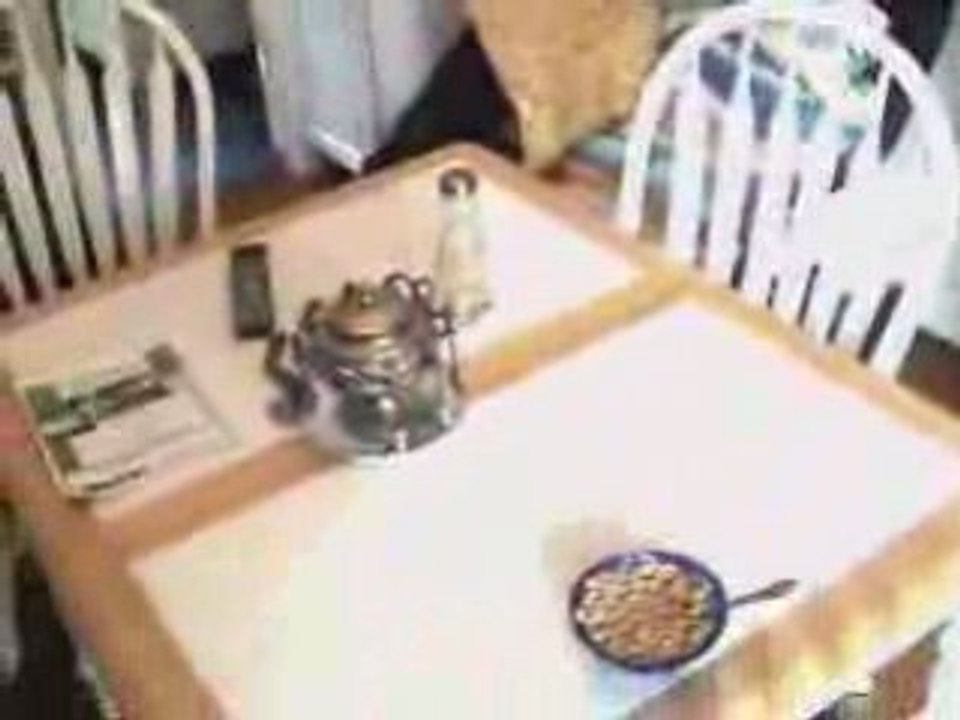 Vidéo poltergeist