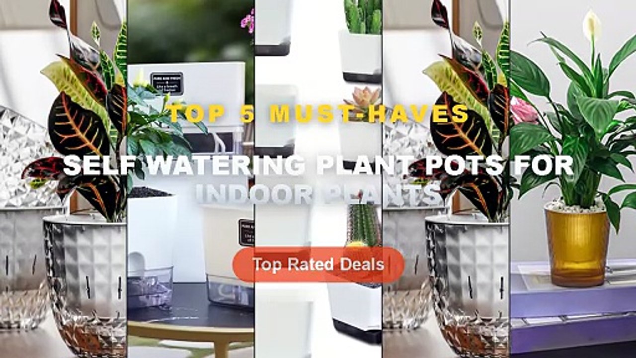Cheap & Best Self Watering Plant Pots For Indoor Plants Unboxing & Review - Colorful Self Watering Plant Pot Vertical St...