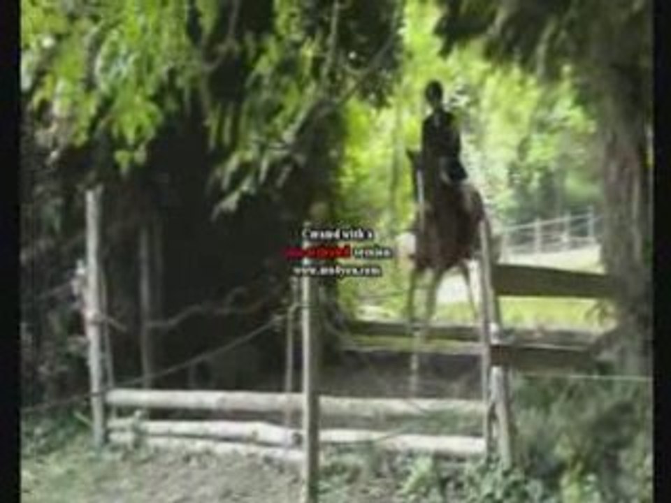 Concours Isoré Illico derby 06/07/08