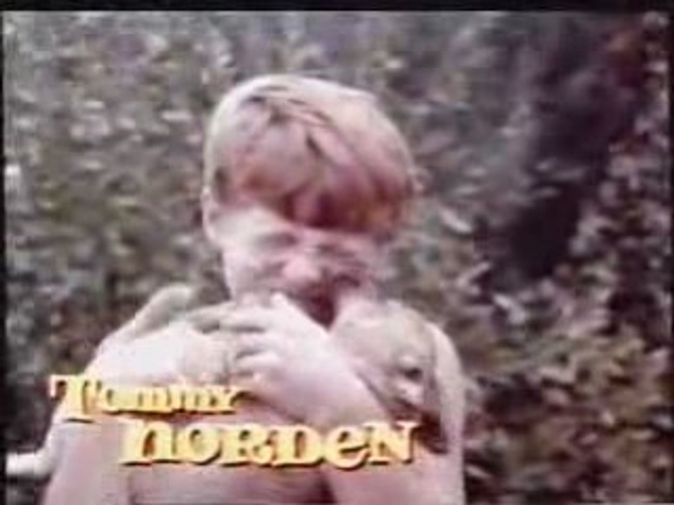 Générique de flipper le dauphin