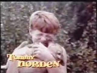 Générique de flipper le dauphin