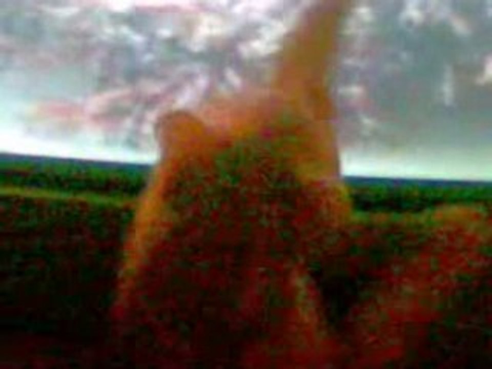 MON CHAT VEUT RENTRER DANS LA TELE