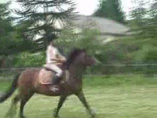 Qu'enzo et Norway saut 10