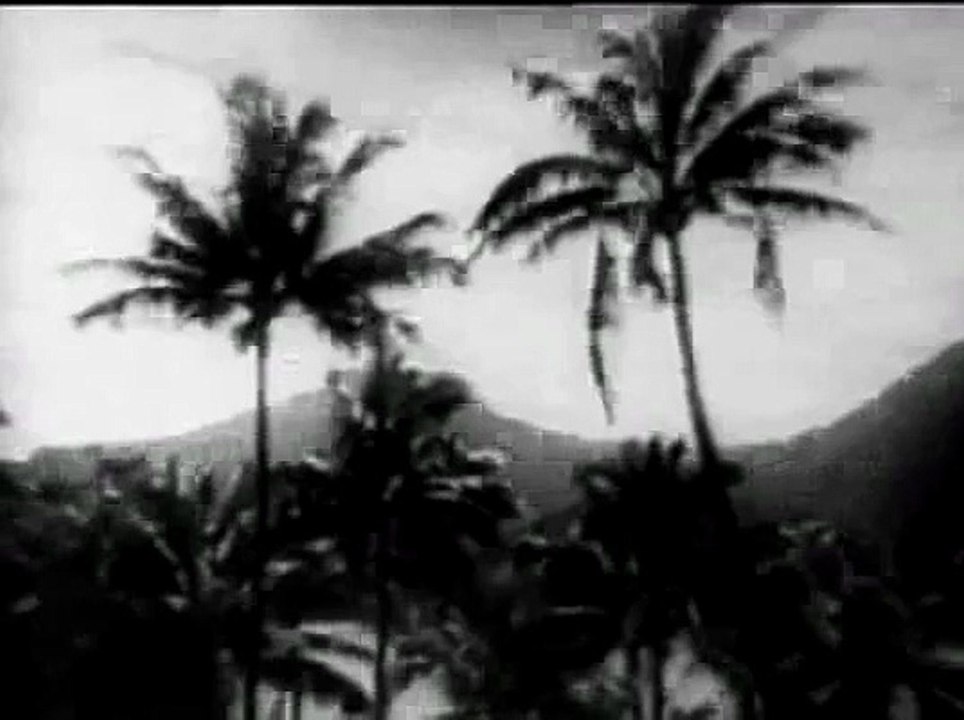 Forbidden Shores