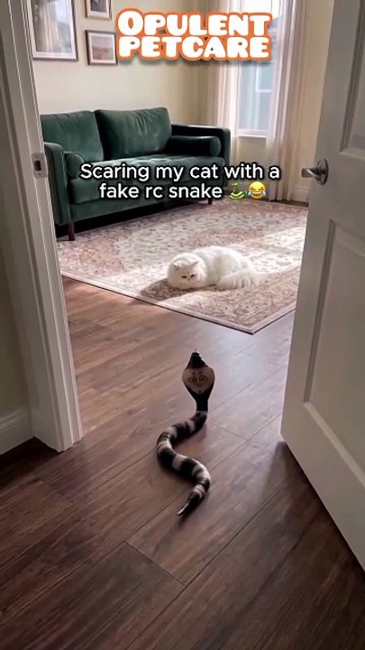 Smart Sensing Snake Cat Toy – Interactive Elect...