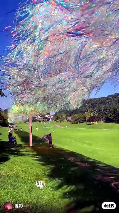 Creative art designs nature handmade craft