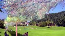 Creative art designs nature handmade craft
