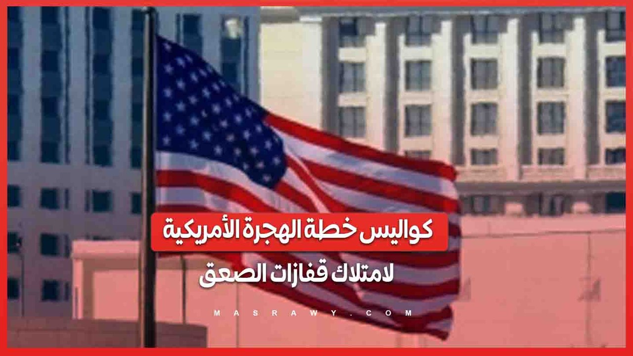 لماذا تعتزم إدارة الهجرة الأمريكية شراء قفازا...