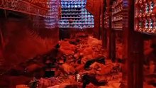 Roza-e-Maula Abbas (a.s) Ke Andar Ka Rohani Manzar | Optional Support & Donation Appeal