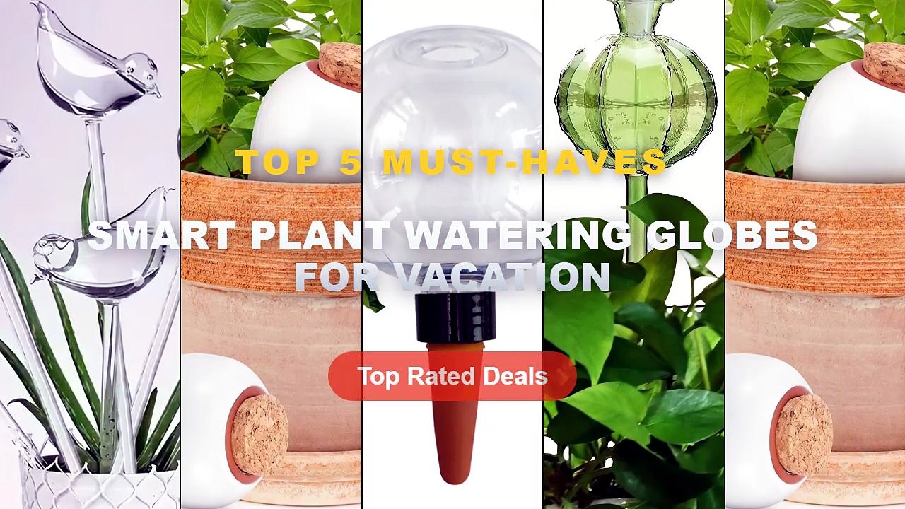 Why Everyone Is Buying Smart Plant Watering Glo...
