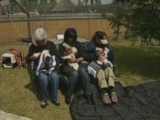 White lion cubs shown off for the first time