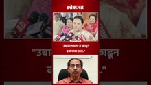 सुप्रीम कोर्टात शिंदेंचा विजय कुणामुळे होईल, नीलम गोऱ्हेंचा दावा काय?