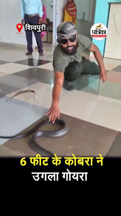 कॉलेज में घुसा कोबरा