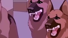 ¿Unos perros intentaron matarme?...