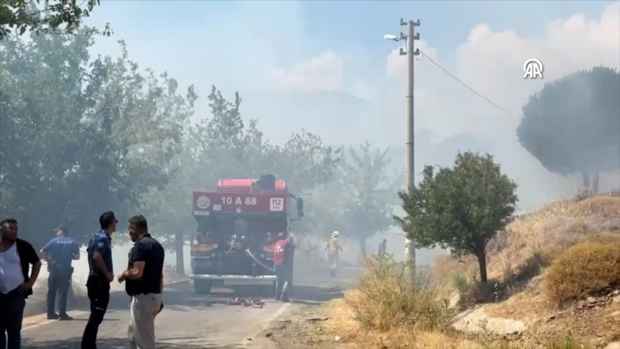 Balıkesir'de orman yangını