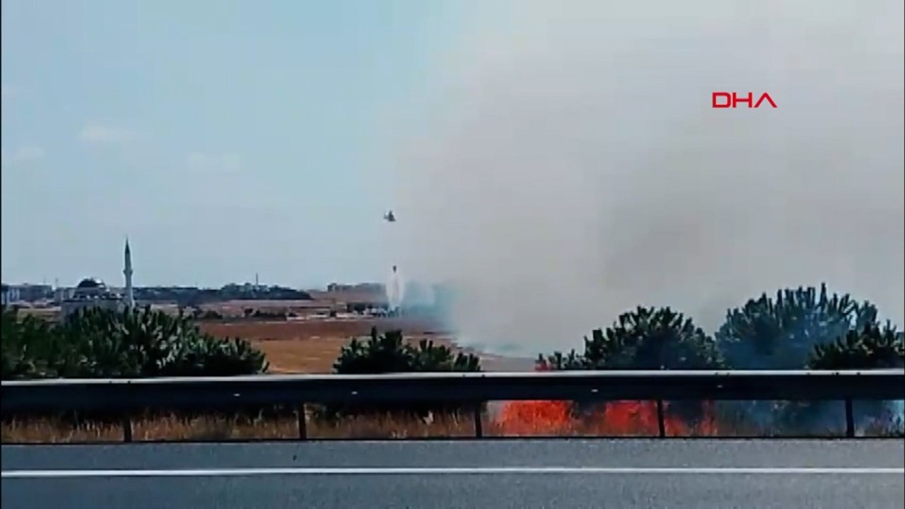 Silivri'de tarlada yangın
