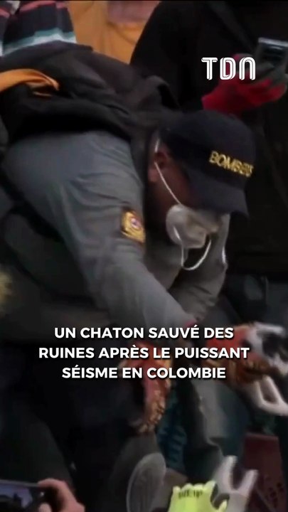 Un chaton sauvé des ruines après le puissant séisme en Colombie