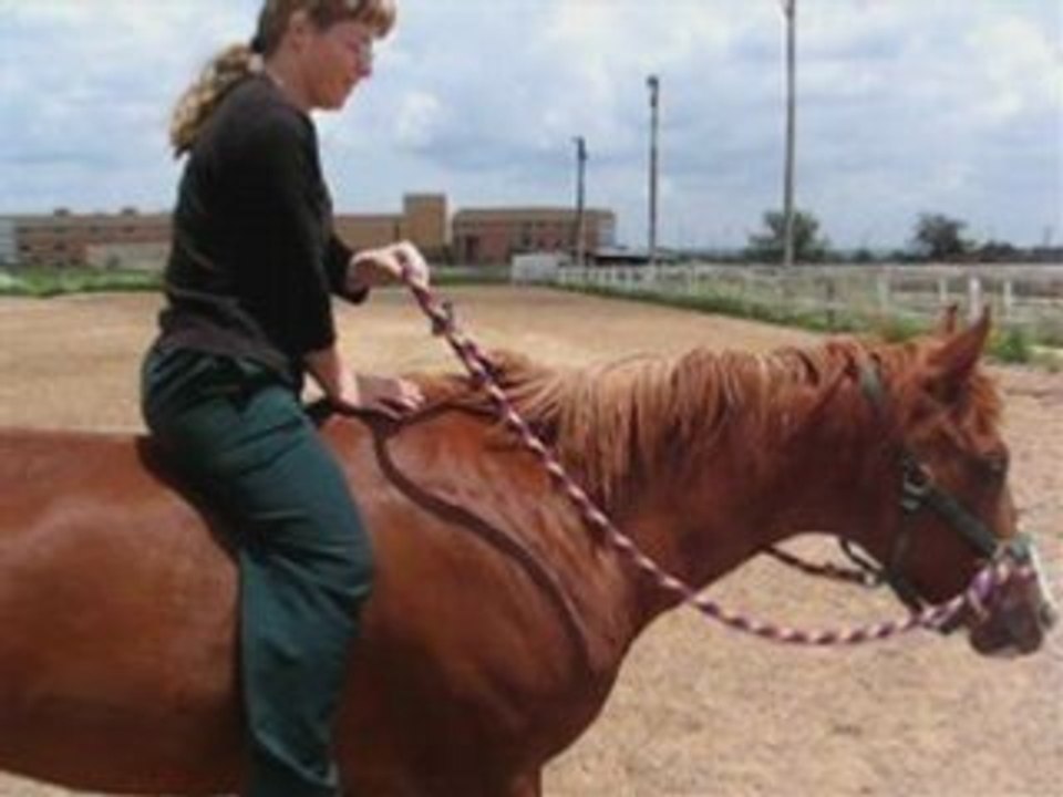 Ponytalez