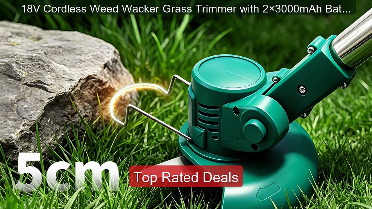 18V Cordless Weed Wacker Grass Trimmer with 2×3...