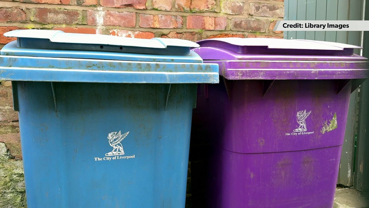 350 Liverpool homes visited as council tackles pests