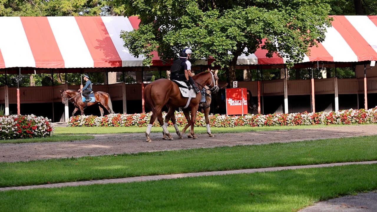 Regional Reach: "New York Is Backing Racing"