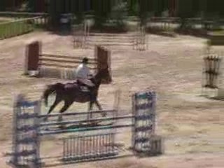 Premices des Echamps - Escadron de saumur