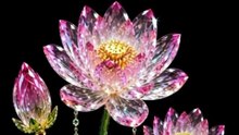 Crystal Pink Lotus 🌸💎 4K UHD Moving Wallpaper | Magical Flower #Shorts