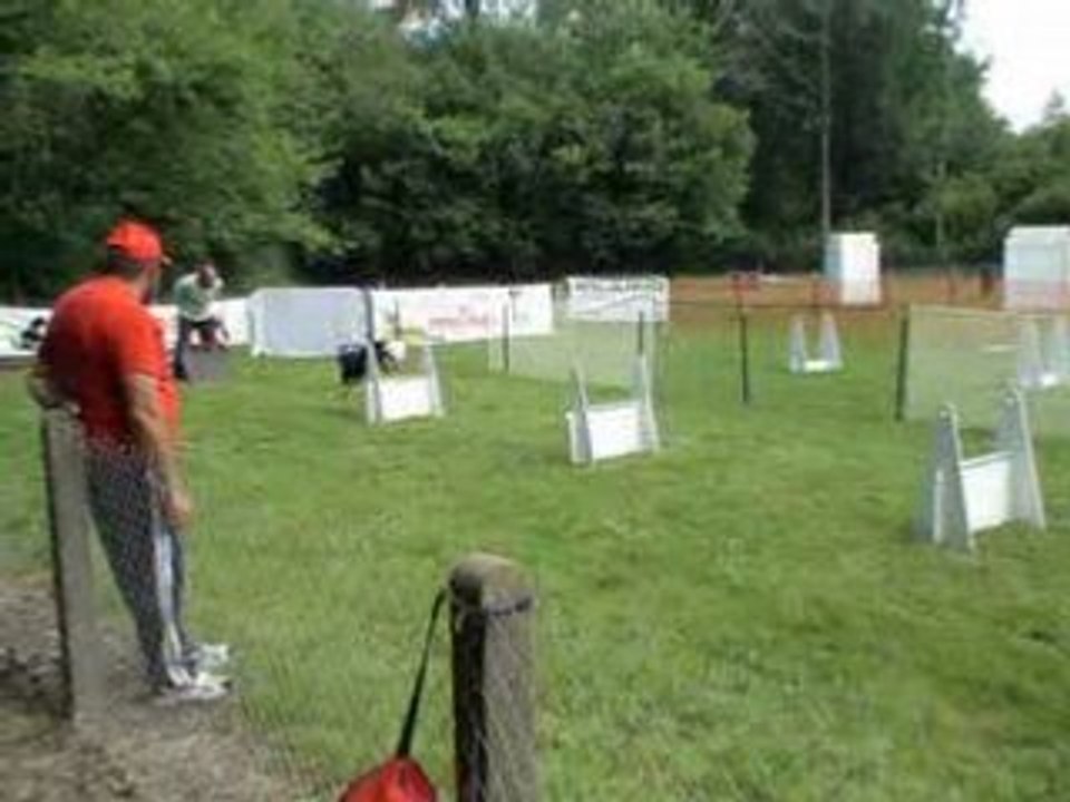 flyball la renaudière